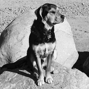 Meet your Posher, Miranda